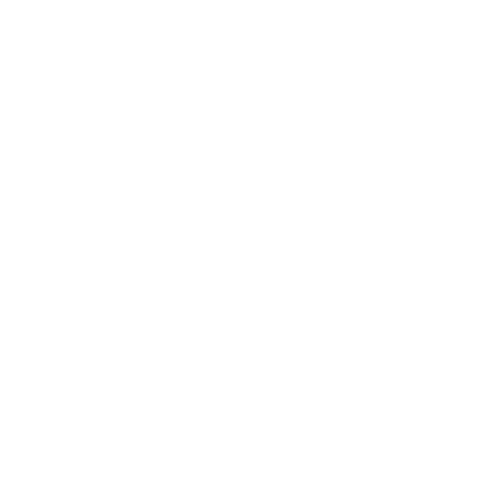 TransferX Logo